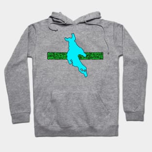 Newfound Floridic Hoodie